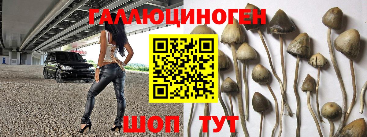 Псилоцибиновые грибы Magic Shrooms  Галлюциногенные грибы Magic Shrooms  Вход с VPN  как найти   Ирбит 