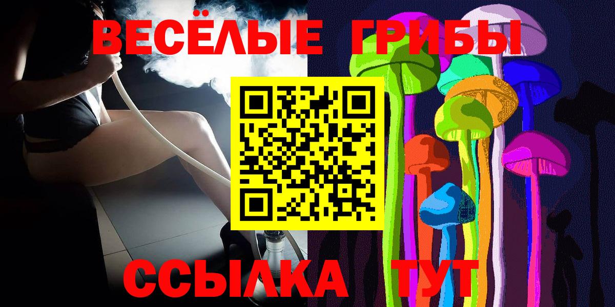Галлюциногенные грибы Psilocybe Ирбит